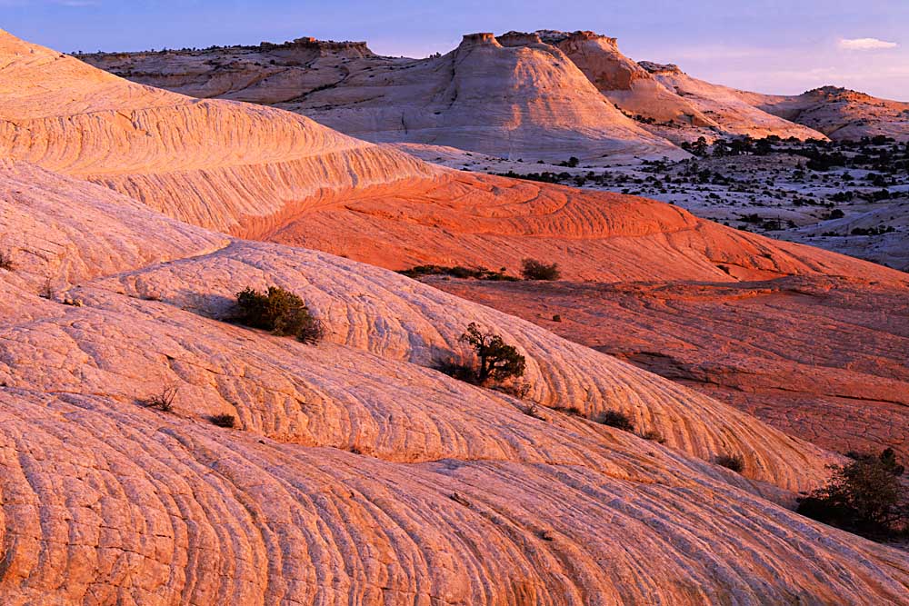 Sandstone, Grand Staircase-Escalante National Monument, Utah # 3140