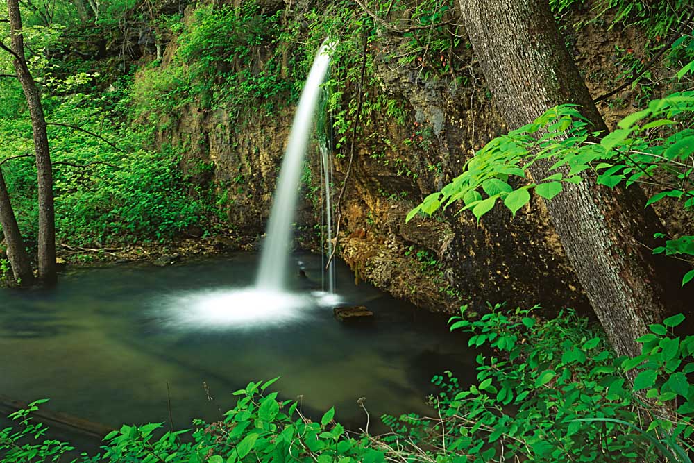 Falling Spring, Mark Twain National Forest, Missouri # 7570