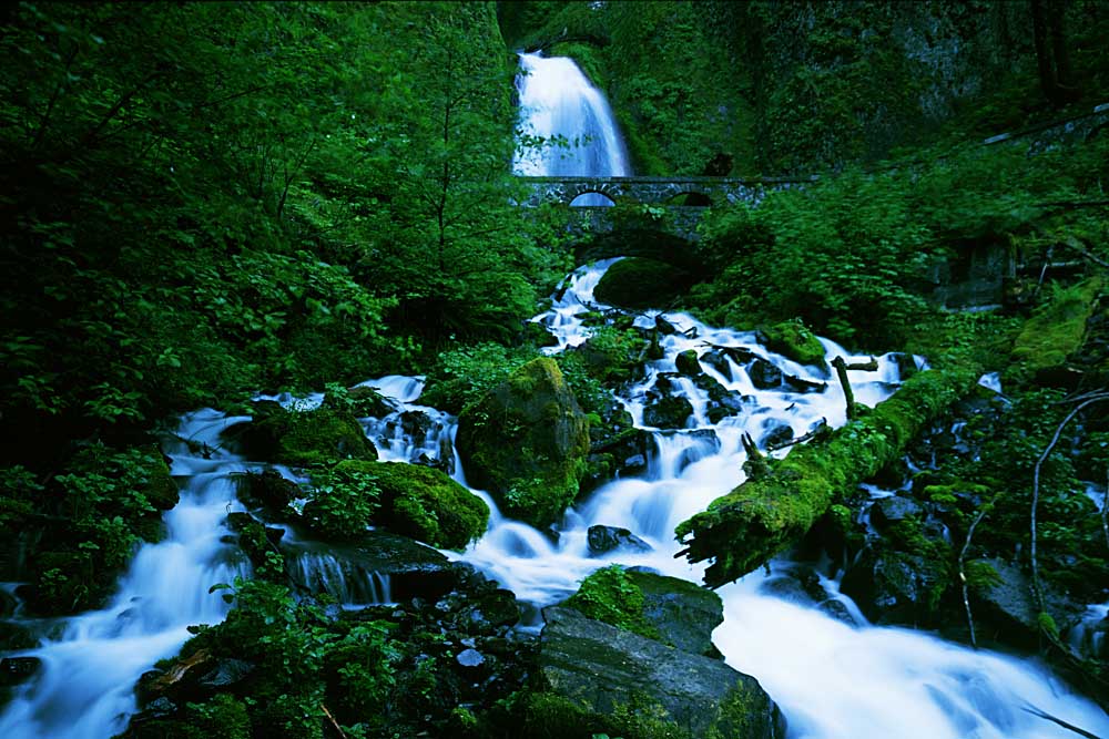 Wahkeena Falls, Columbia River Gorge, Oregon # 5371