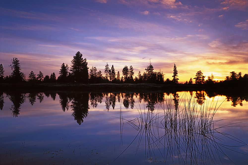 Sunset, Coyote Lake, Spokane County, Washington # 587