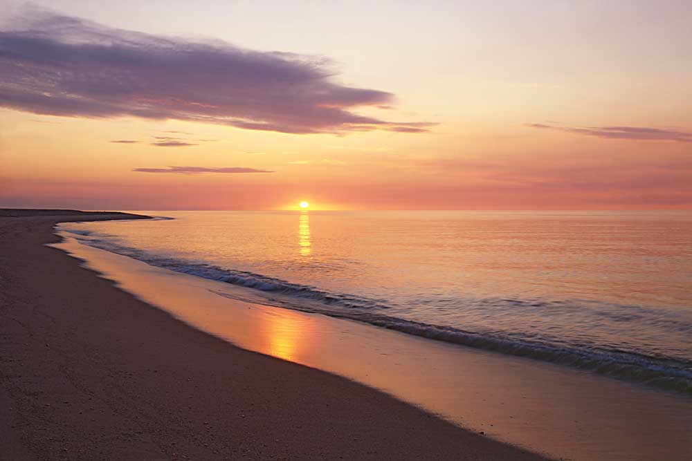 Sunrise over Atlantic, Cape Cod National Seashore, Massachusetts # 8001