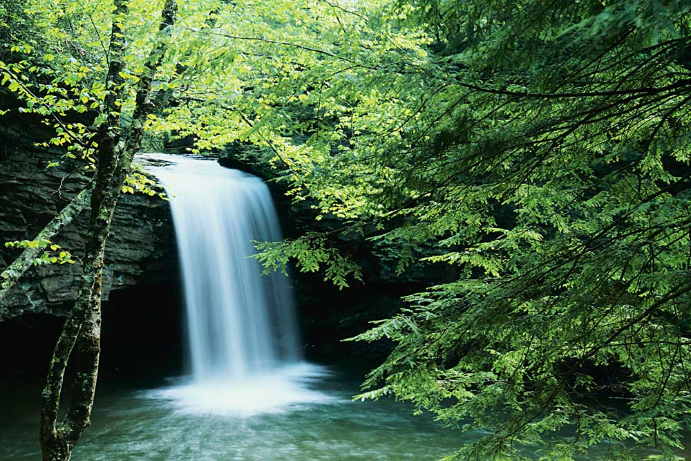 Falls of Little Stony, Jefferson National Forest, Virginia # 9342