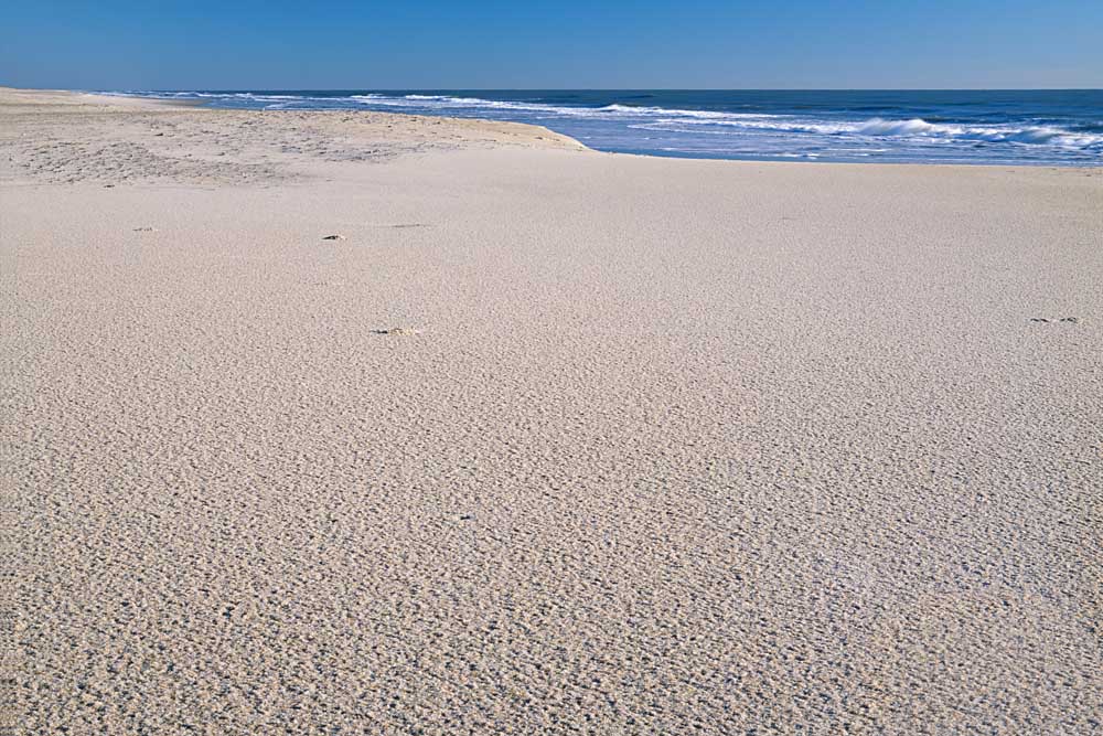 Beach, Assateague Island National Seashore, Virginia # 9407-h