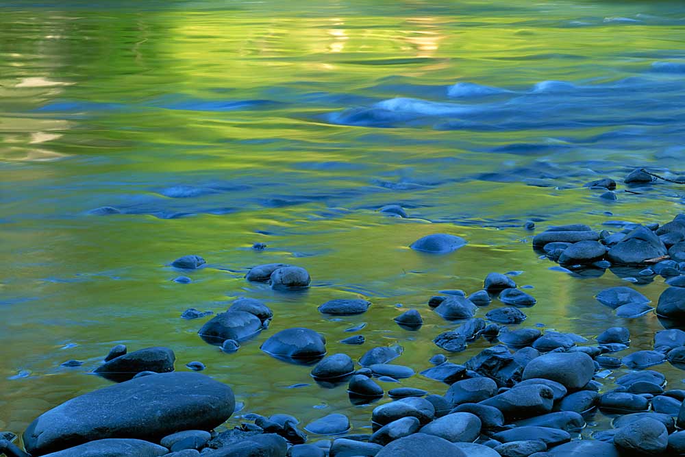 Reflections in the Elwha River, Olympic National Park, Washington # 1387