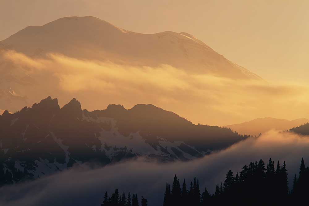 Paciffic Crest Trail, Mt. Rainier at sunset, Mt. Rainier National Park, Washington # 1562h
