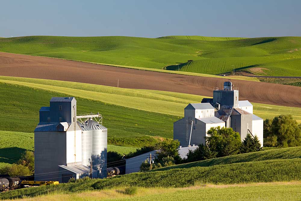 Whitman County, farm, silos, Palouse,  Washington # 3812