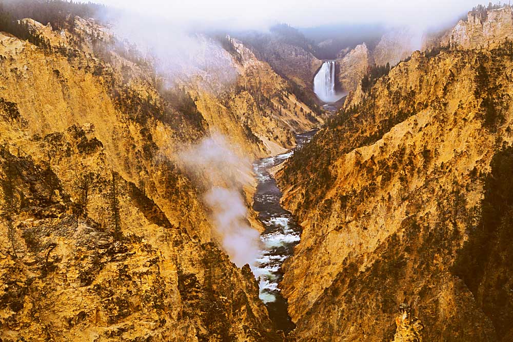 Lower Falls of the Yellowstone River, Grand Canyon of the Yellowstone, Yellowstone National Park, Wyoming # 4067