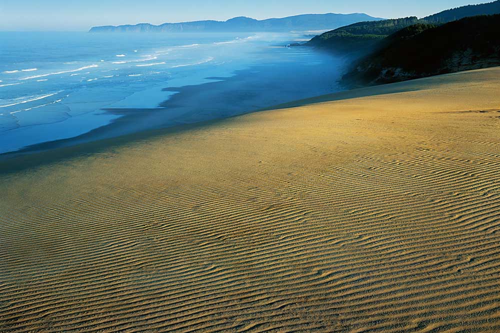 Sand Dune at Sunrise near Pacific City, Cape Kiwanda State Natural Area, Oregon # 5058