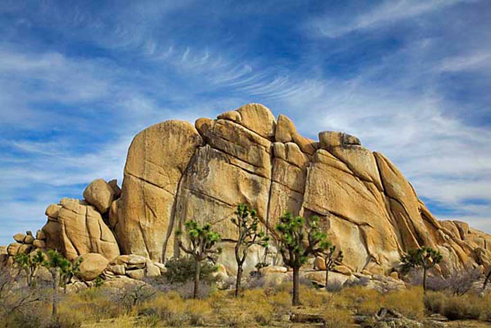 Wonderland of Rocks, Granite, Joshua trees, Joshua Tree National Park, California # 5541b