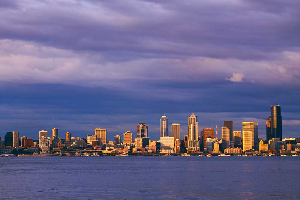 Skyline, Seattle, Washington # 913