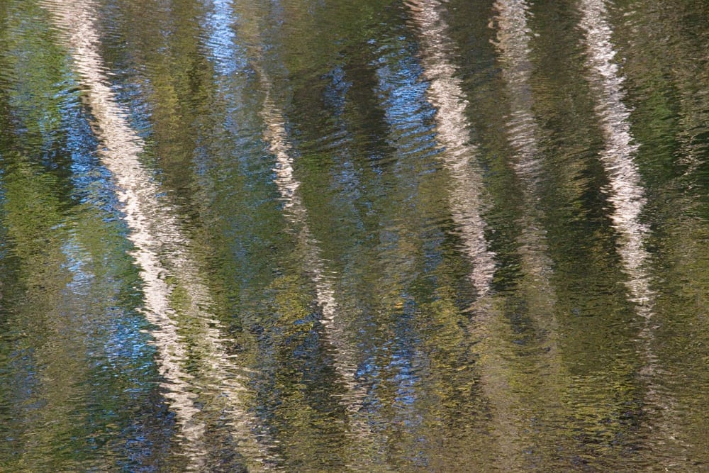Snoqualmie River, Washington, #7314